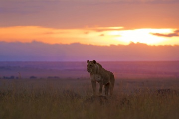 Nationalparks in Kenia